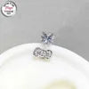 S&S ASTM F136 Titanium Zircon Stud Earrings | Rosette & Heart | 3 Designs