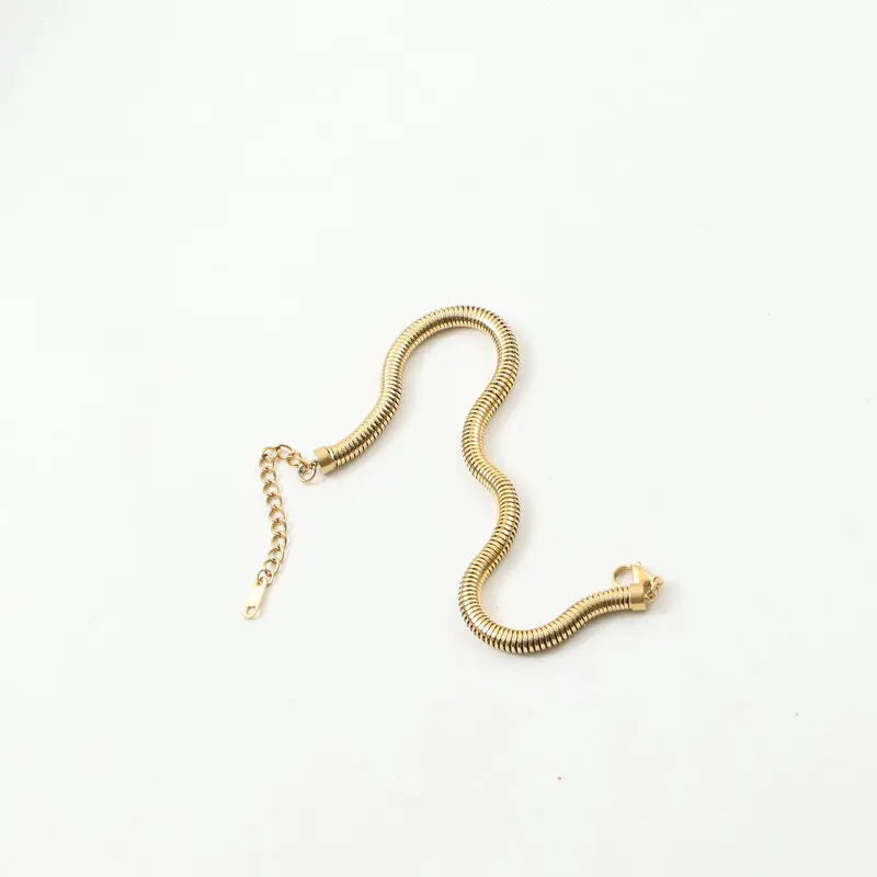 Trendy Stainless Steel Anklet 5MM Round Snake Chain Fashion Girl's Ankle Bracelet Chain