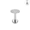ASTM F136 Titanium 16G Various Styles Ear Nose Studs Labret Lip Earrings Cartilage Tragus Helix Lobe PVD Plated Piercing Jewelry