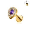 ASTM F136 Titanium Helix Earring Labret 16G Star Shape CZ Paved Internal Thread Punk Style Nose Studs Piercing Jewelry Wholesale