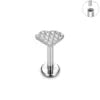 ASTM F136 Titanium 16G Various Styles Ear Nose Studs Labret Lip Earrings Cartilage Tragus Helix Lobe PVD Plated Piercing Jewelry