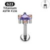 G23 Titanium Triangle Heart Fox Tragus Cartilage Helix Daith Piercing Stud Earrings for Women 16G CZ Ear Stud Pierc Body Jewelry