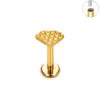 ASTM F136 Titanium 16G Various Styles Ear Nose Studs Labret Lip Earrings Cartilage Tragus Helix Lobe PVD Plated Piercing Jewelry