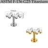 S&S ASTM F136 Titanium Labret Stud | Zircon | 83 Designs | Titanium & Gold