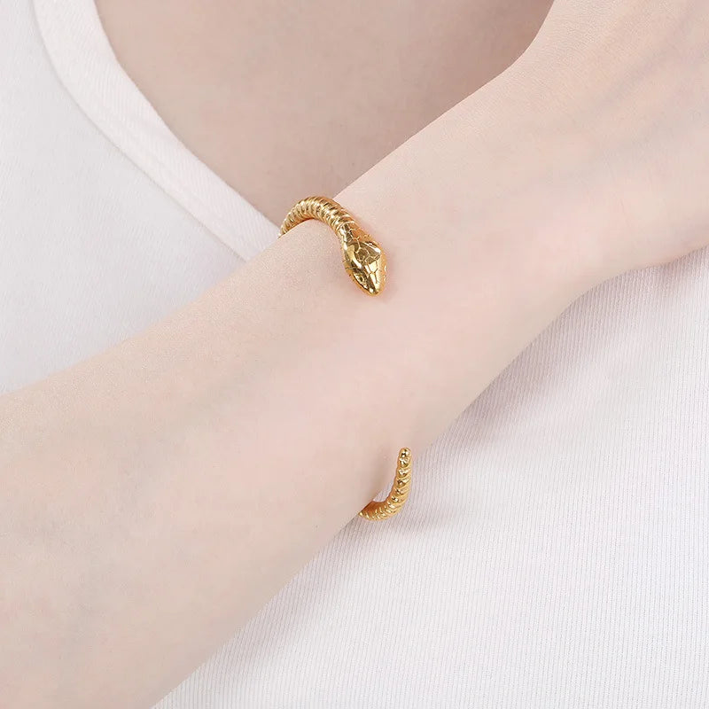 FASHIONISTA European American Retro Punk Open Snake Head Stainless Steel Jewelry Men's Women's HipHop Fashion Bangle