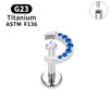 G23 Titanium Triangle Heart Fox Tragus Cartilage Helix Daith Piercing Stud Earrings for Women 16G CZ Ear Stud Pierc Body Jewelry