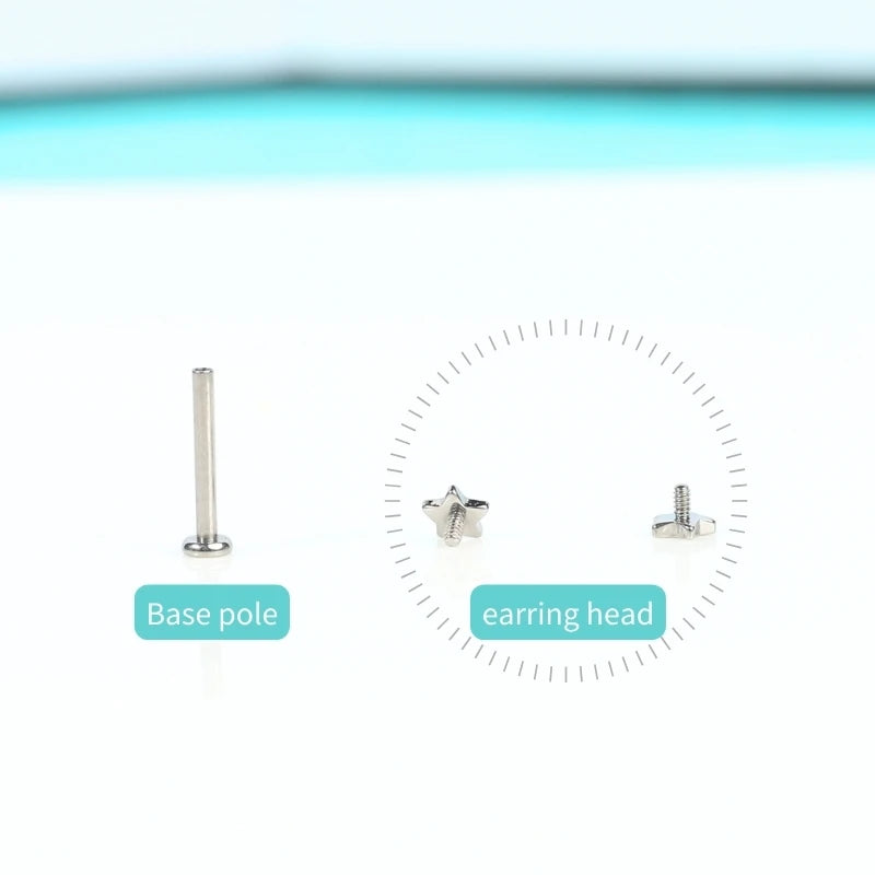Minimalist Titanium Six Leaves Flower Stud Earrings Simple Internally Threaded Piercing Jewelry Trendy Style