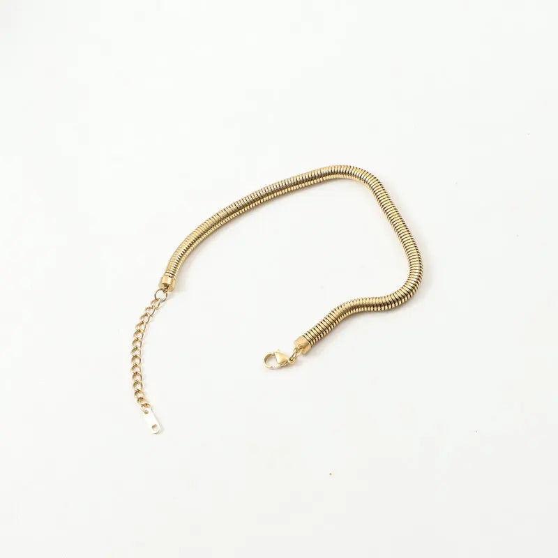 Trendy Stainless Steel Anklet 5MM Round Snake Chain Fashion Girl's Ankle Bracelet Chain