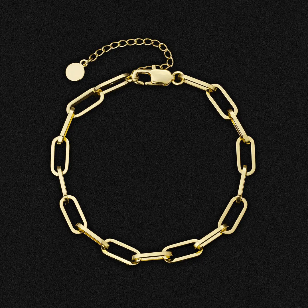 New Design Ladies Sexy Hotwife 6mm Paper Clip Anklet Sets Thin Gold Foot Jewelry Bracelet Link Women Stainless Steel Anklet