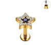 ASTM F136 Titanium Helix Earring Labret 16G Star Shape CZ Paved Internal Thread Punk Style Nose Studs Piercing Jewelry Wholesale