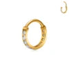 Wholesale ASTM F136 Titanium Segment Nose Ring Cubic Zircon Hoop Earrings Cartilage Helix Tragus Fashion Body Piercing Jewelry