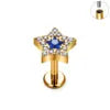 ASTM F136 Titanium Helix Earring Labret 16G Star Shape CZ Paved Internal Thread Punk Style Nose Studs Piercing Jewelry Wholesale