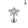 ASTM F136 Titanium Helix Earring Labret 16G Star Shape CZ Paved Internal Thread Punk Style Nose Studs Piercing Jewelry Wholesale