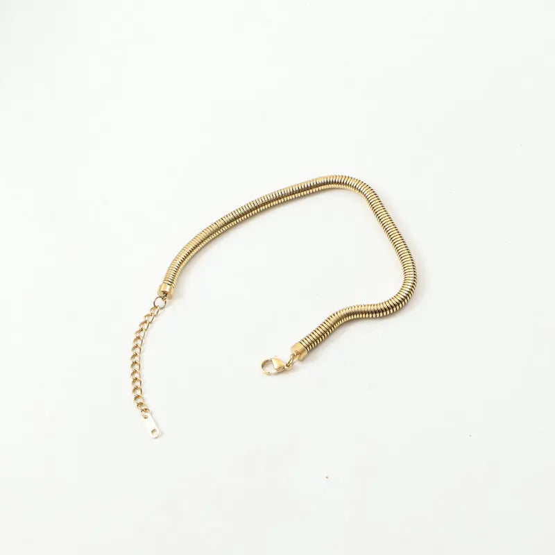 Trendy Stainless Steel Anklet 5MM Round Snake Chain Fashion Girl's Ankle Bracelet Chain
