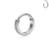 Wholesale ASTM F136 Titanium Segment Nose Ring Cubic Zircon Hoop Earrings Cartilage Helix Tragus Fashion Body Piercing Jewelry