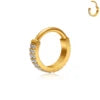 Wholesale ASTM F136 Titanium Segment Nose Ring Cubic Zircon Hoop Earrings Cartilage Helix Tragus Fashion Body Piercing Jewelry