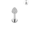 ASTM F136 Titanium 16G Various Styles Ear Nose Studs Labret Lip Earrings Cartilage Tragus Helix Lobe PVD Plated Piercing Jewelry