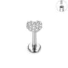 ASTM F136 Titanium 16G Various Styles Ear Nose Studs Labret Lip Earrings Cartilage Tragus Helix Lobe PVD Plated Piercing Jewelry