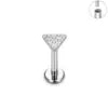 ASTM F136 Titanium 16G Various Styles Ear Nose Studs Labret Lip Earrings Cartilage Tragus Helix Lobe PVD Plated Piercing Jewelry